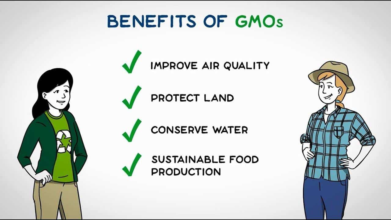 What Are Genetically Modified Foods Pros And Cons